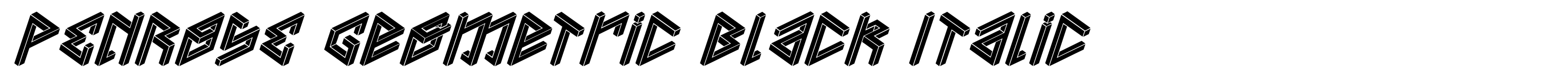 PENROSE Geometric Black Italic